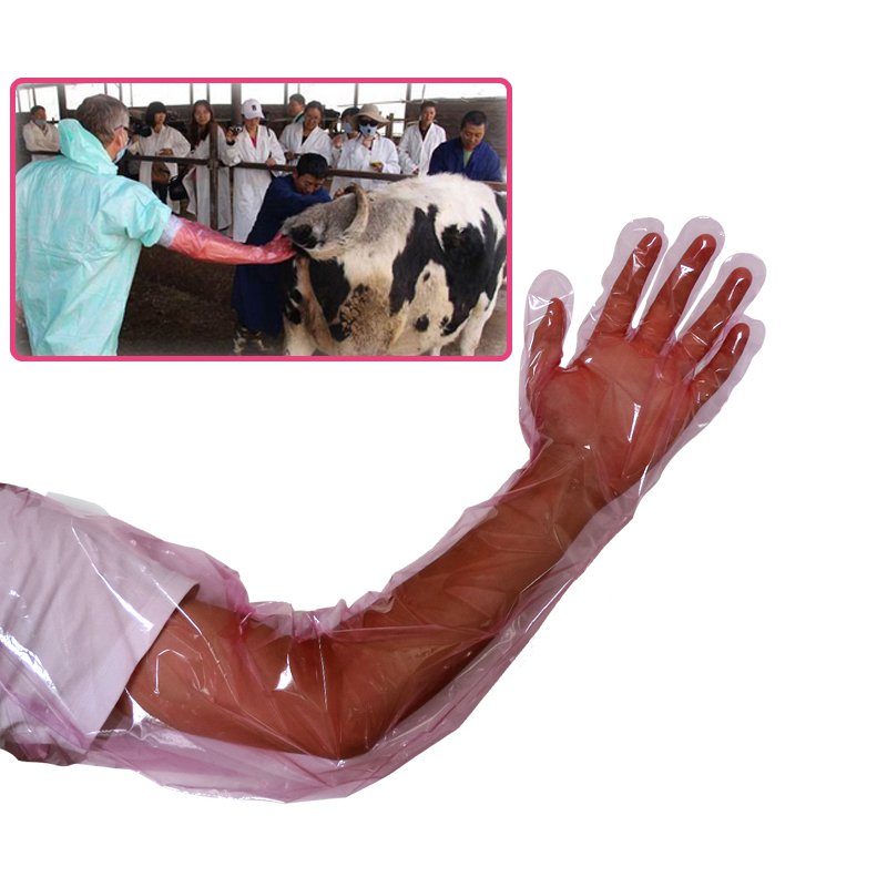 Braccio lungo eliminabile del PE del guanto veterinario per l'inseminazione animale