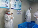 La fabbrica Wellmien e il prodotto del kit per la circoncisione maschile sono stati approvati da SCMS (USAID)